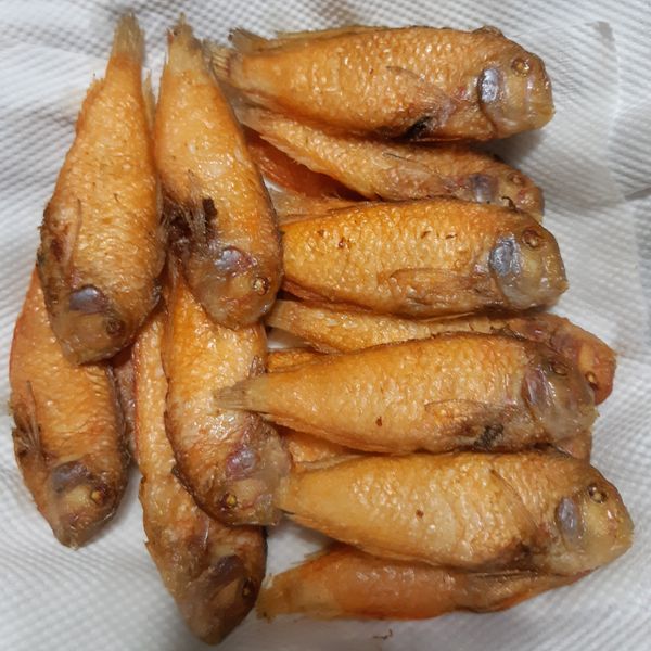 【澎湖龍順海味】香煎紅新娘魚 : 蓉妹愛團時坊一起做