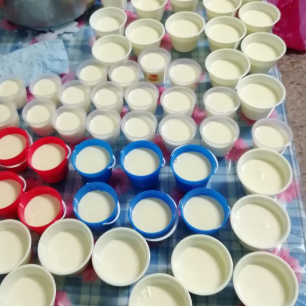 # 手作鮮奶酪：周美玲 一起做