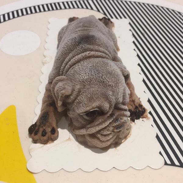 慕斯沙皮狗 : 邱小蜜一起做