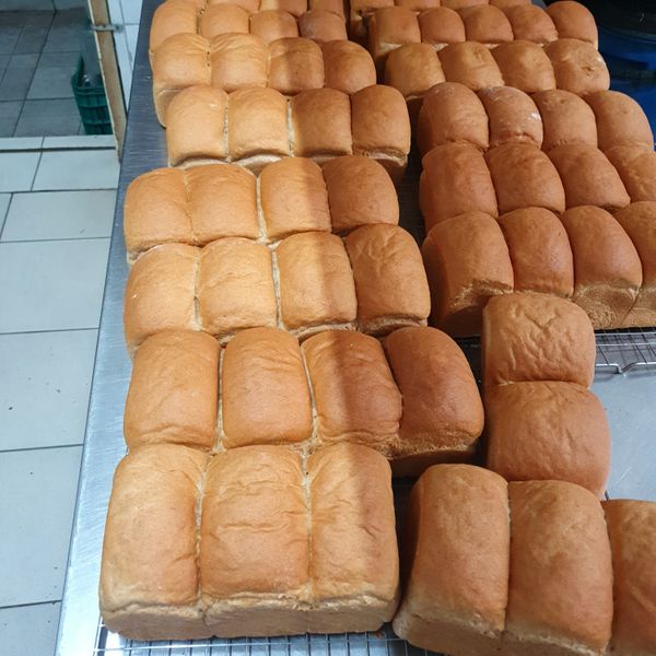 50%全麥山形吐司~直到第三天還依舊柔軟 : haydn一起做