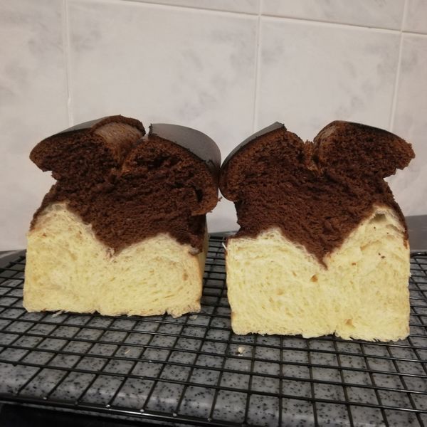 undefined：Yanni Chan 一起做