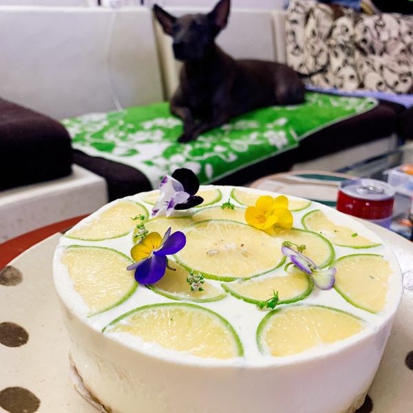 免烤箱檸檬生乳酪蛋糕(6吋)：吃貨帝帝的馬麻 一起做