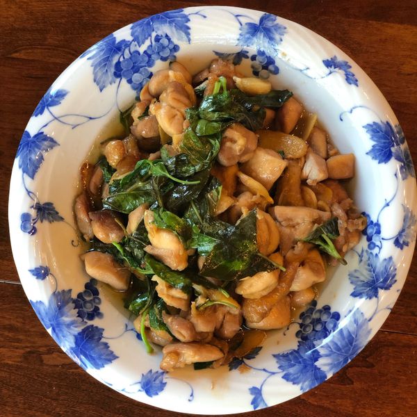 undefined：Tammy 一起做