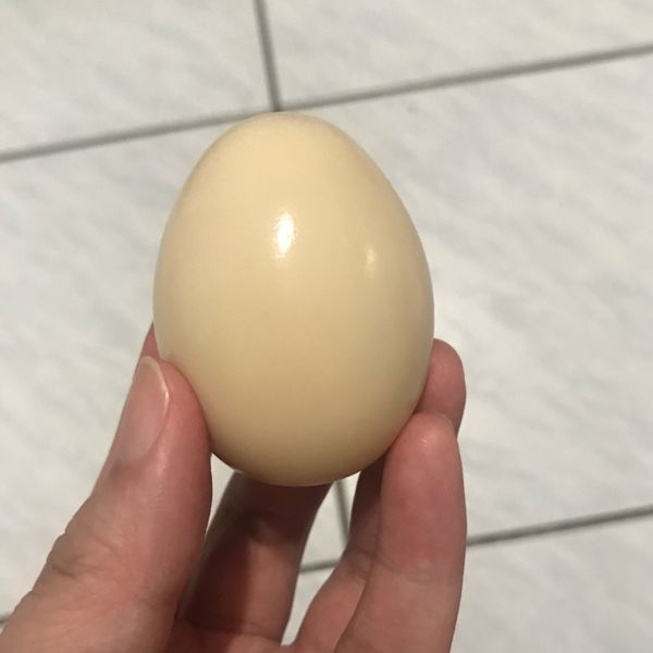 undefined：我家阿妮 一起做