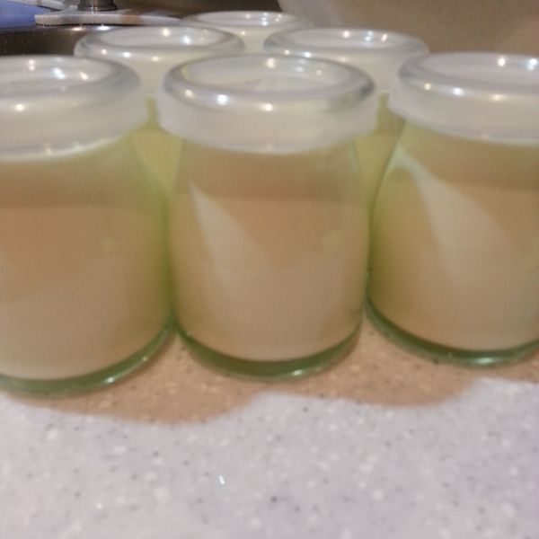 香草奶酪 : 薛小雞一起做