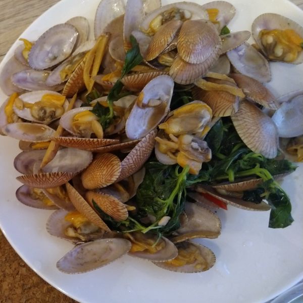 九層塔炒海瓜子：妍 一起做