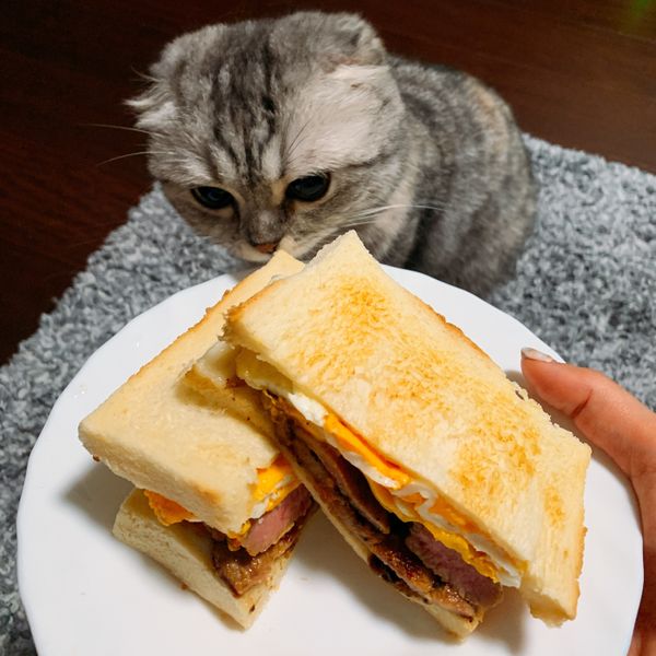 家常料理-古早味豬排：DoRis Wu 一起做