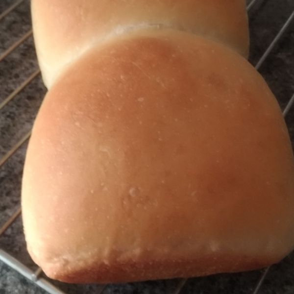 undefined：Lois 一起做