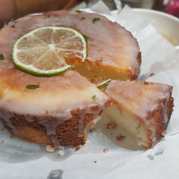 undefined：彈力熊 一起做