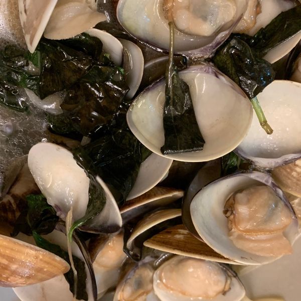 塔香蛤蜊：白兔 一起做