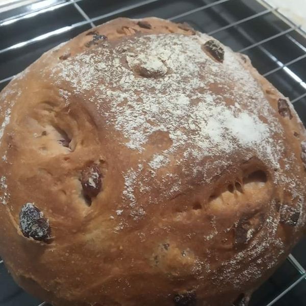 免揉紅酒桂圓歐式麵包 : 任士久一起做