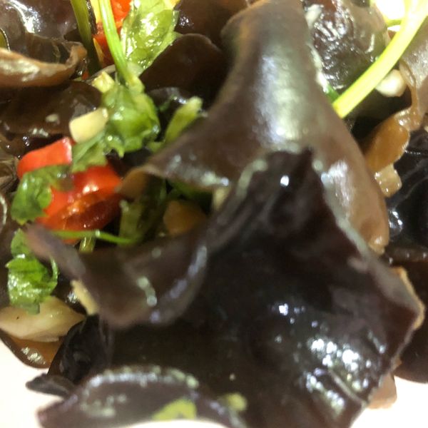 undefined：Angie 一起做