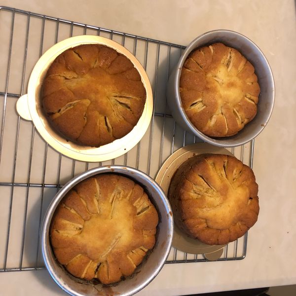 undefined：獅子加老虎 一起做