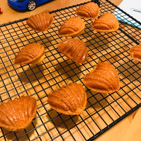 蜂蜜瑪德蓮-原味.可可.抹茶 : Cho一起做