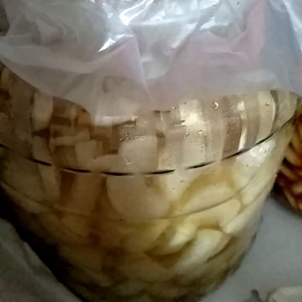 醃蘿蔔 : 陳鳳珠一起做