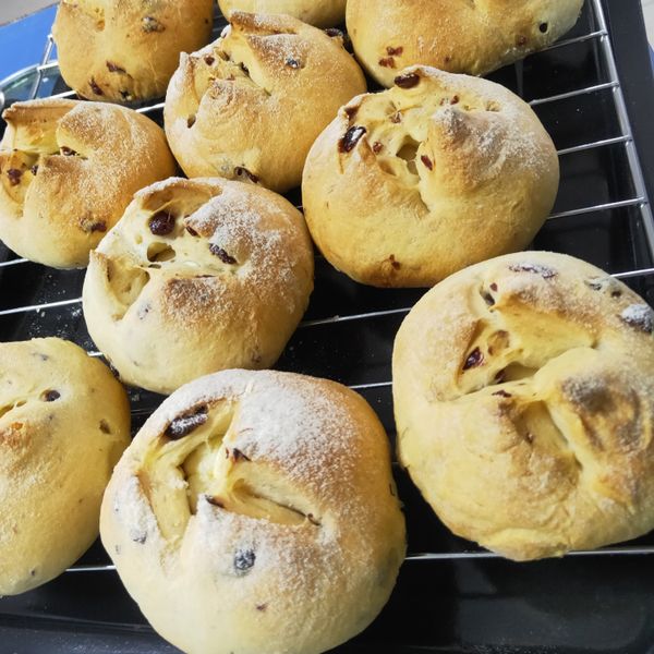 蔓越莓乳酪【麥典實作工坊麵包專用粉】 : 李真真一起做