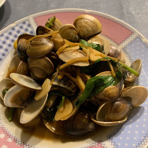 undefined：望月 一起做