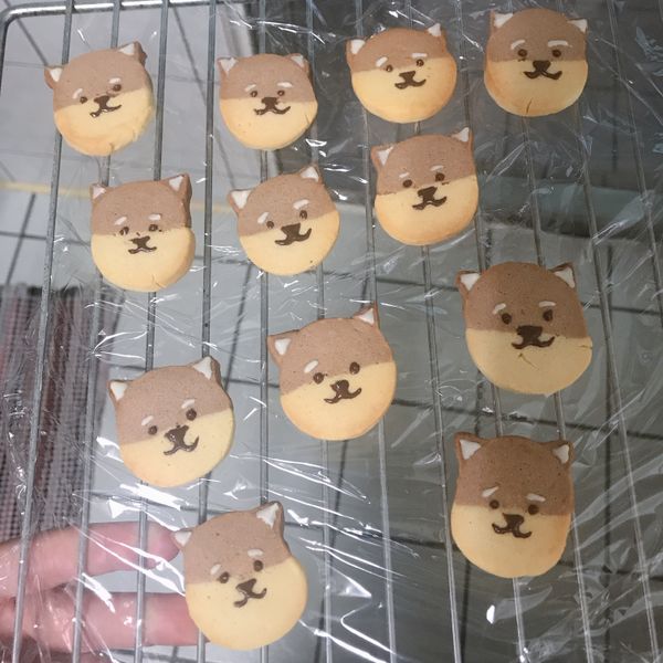 undefined：劉郁瑄 一起做