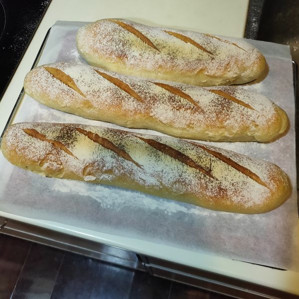 【影片】法國長棍麵包 Baguette : 葛瑞絲一起做