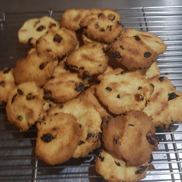 蔓越莓豆渣餅乾 : 阿禎手作一起做