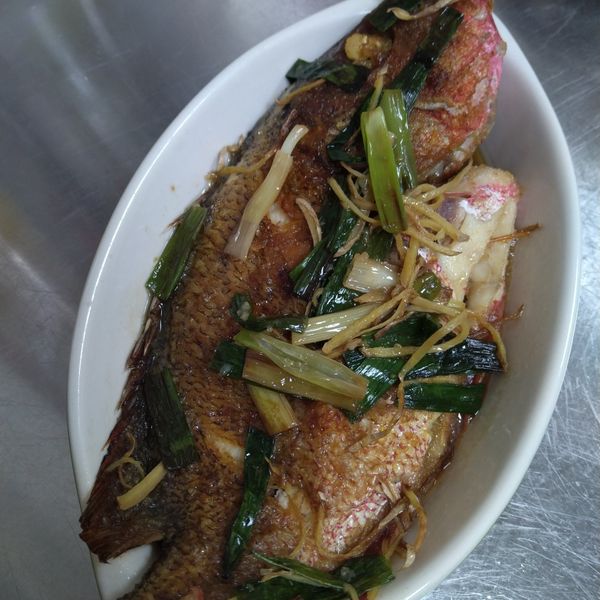 紅燒赤鯧魚(淬釀真心食堂) : chao一起做