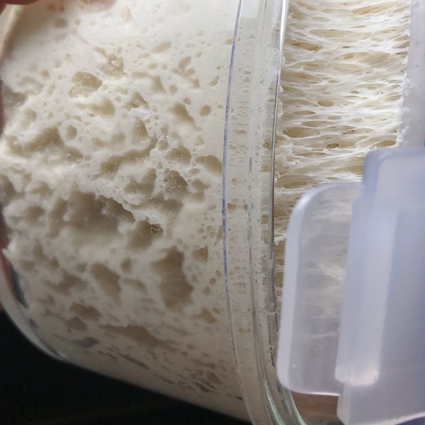 老麵麵團 : 煮給阿廷師吃的一起做