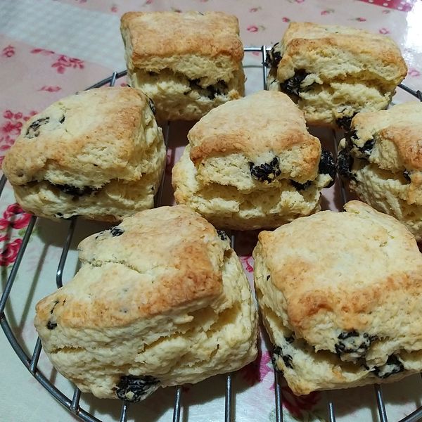 undefined：王意文 一起做