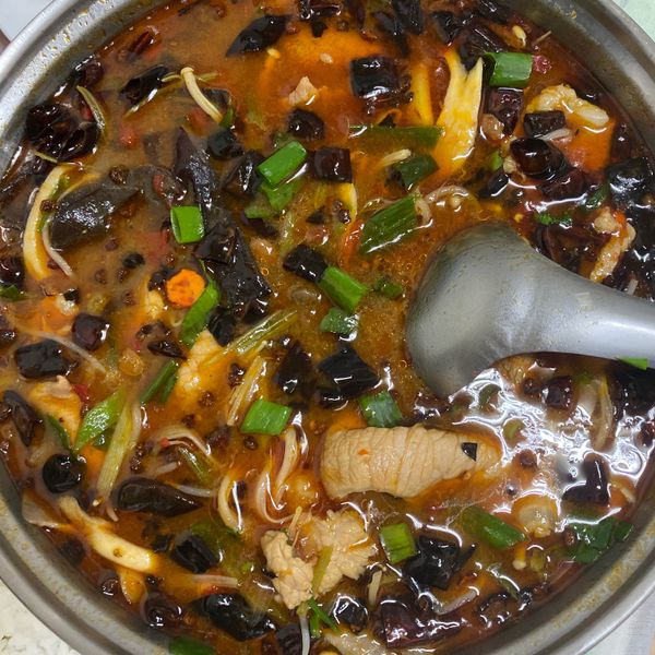 🌶川味水煮牛肉-簡易版：sara 一起做