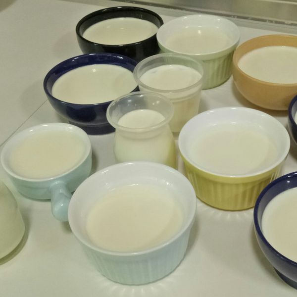 小熊鮮奶酪 : 林欣宜一起做