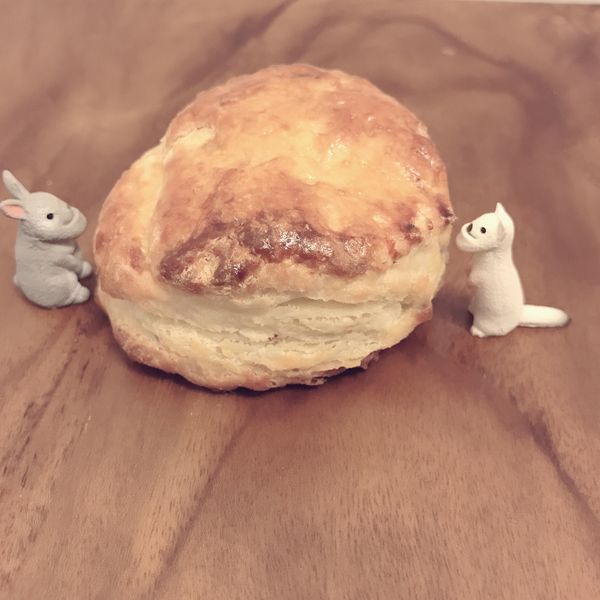 超蓬鬆司康的秘密配方~健康減油優格口味:Vivian Chang 一起做