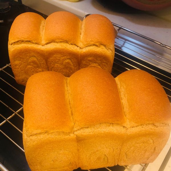 100%全麥土司-綿軟帶彈性 : 吳小欣一起做