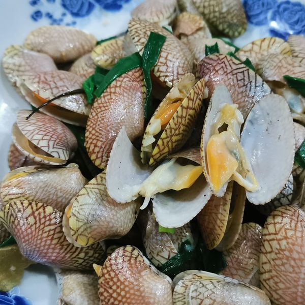 鮮甜花甲豆腐煲：Jaslyn Leong 一起做