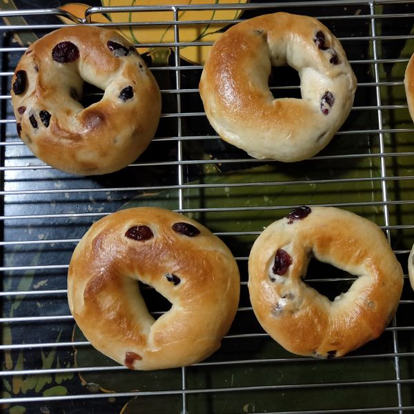 奶香蔓越莓貝果 : Fiona一起做