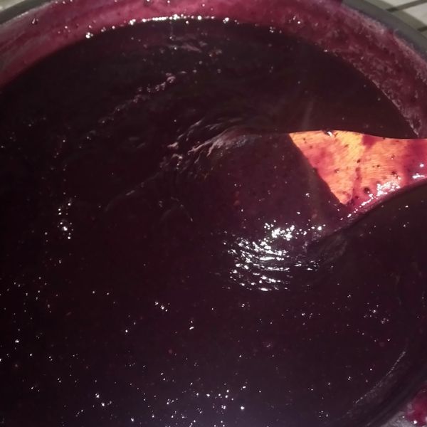 樹葡萄果醬：吳妮螓 一起做