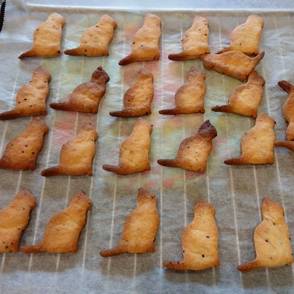 undefined：angel 一起做