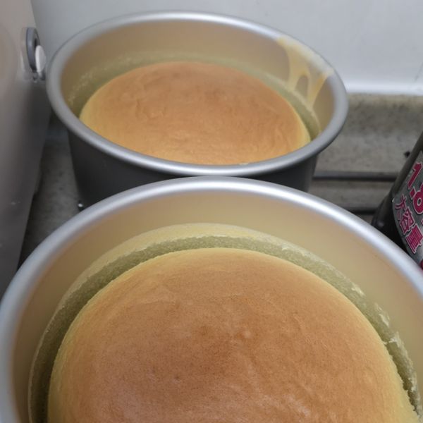 起士棉花蛋糕：陳茹 一起做