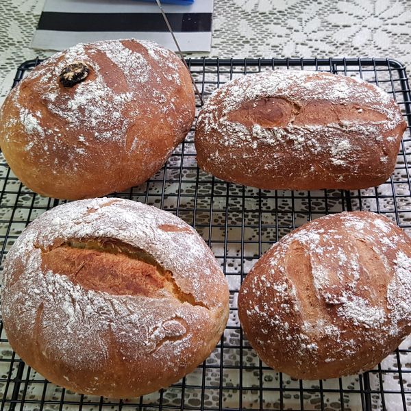 免揉歐式麵包 : yaya710918一起做