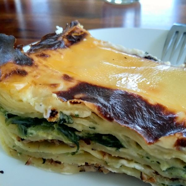 奶油焗白菜 : 根一起做