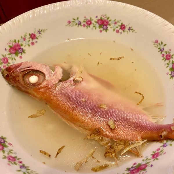 【幸福海物】紅目鰱薑絲清湯：Laura 一起做