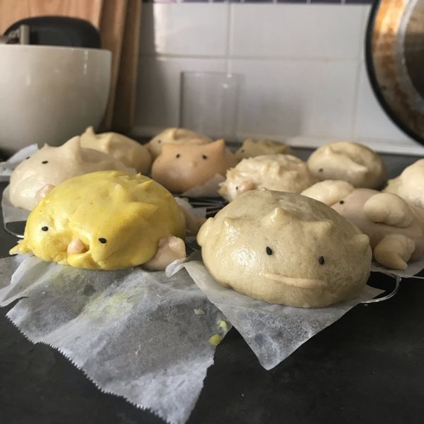 undefined：兩千塊 一起做