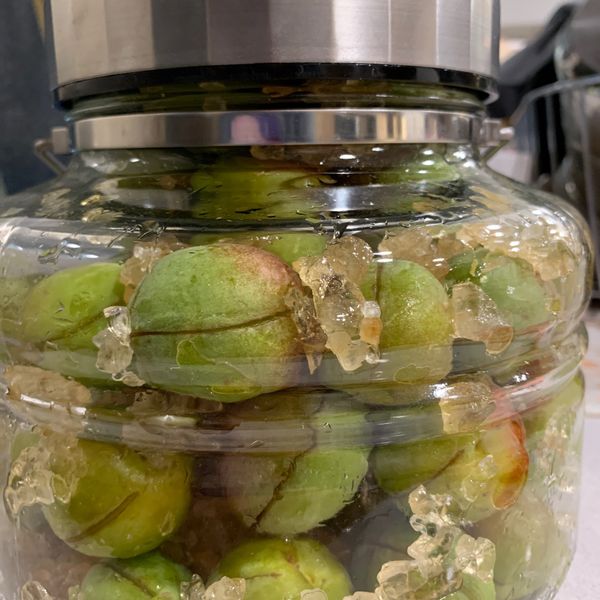 胭脂梅醋～天然乀尚好 : Suting Yang一起做