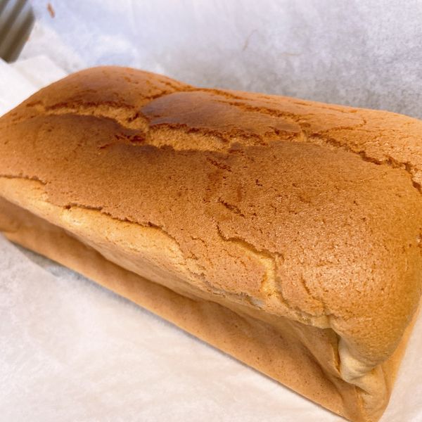 undefined：Sylvia Ao 一起做