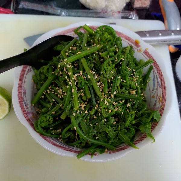 undefined：Swallow 一起做