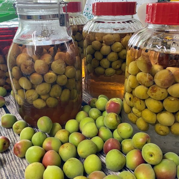 自製黑糖梅酒 : 王子娟一起做