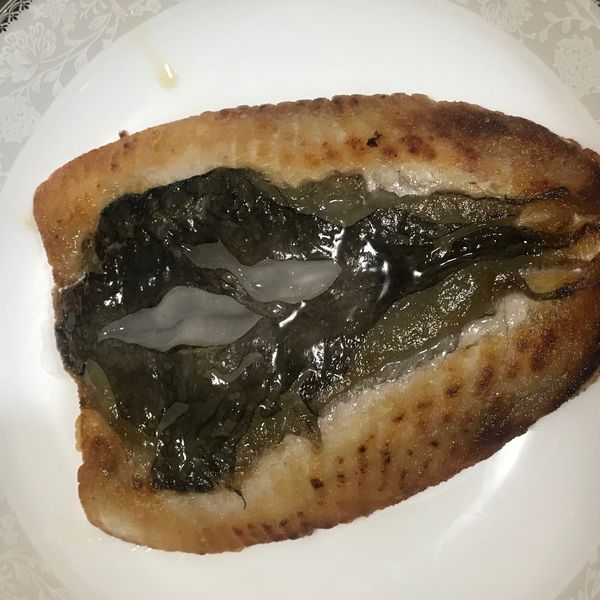 undefined：歐寶 一起做