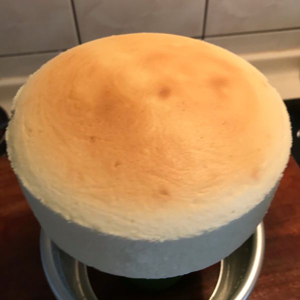 輕乳酪蛋糕 : 心惠一起做