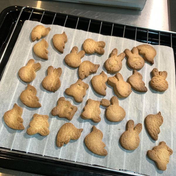 undefined：寶咖咖愛上烹飪 一起做