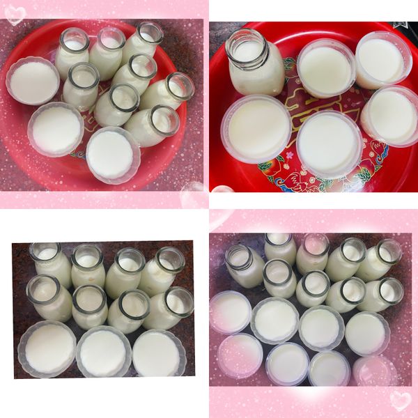 鮮奶酪 : 古靚亘一起做