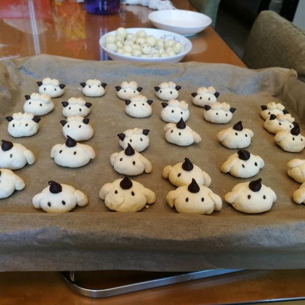 undefined：育瑄張 一起做