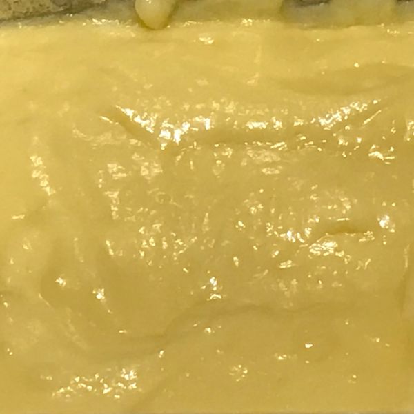 undefined：Vivien 一起做